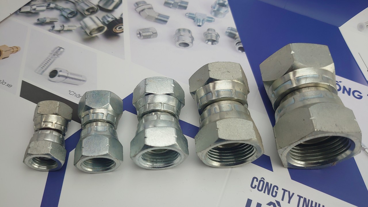 Co Nối Hai Đầu Sống