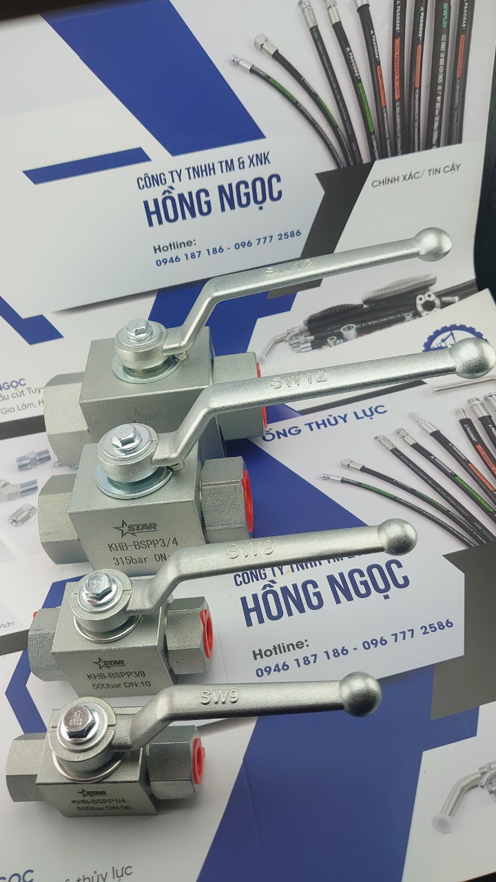 Van Bi Thuỷ Lực 2 Ngả